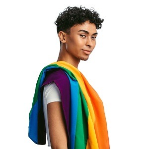 LGBTQIA+ LGBTQIA+ psychologist Maroochydore