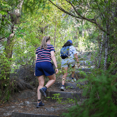 Ecotherapy Nature Hike with Psychologist